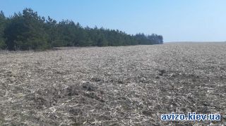 Продажа земли, Воронков