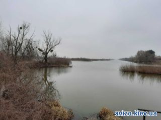 Продается земля, Воронков