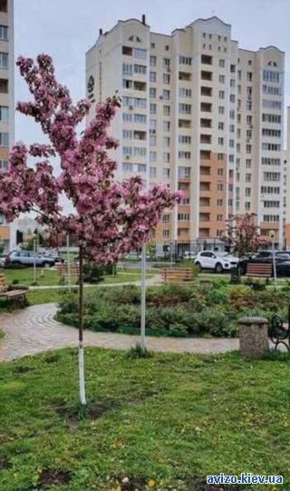 Продажа <a class='adt__geo' href='/nerukhomist/prodazh-kvartyr-budynkiv/kvartyry/kyivska-oblast/q-2-кімнатні/'>2 кімнати</a>-комнатной квартиры, Софиевская Борщаговка