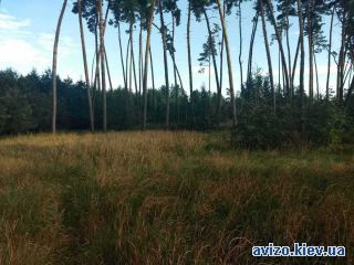 Продается участок, Дерновка