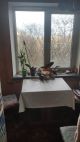 Продам 1-о к. в хорошому жилому стані за 10 хв.від метро