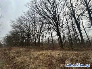 Продается участок, Белогородка
