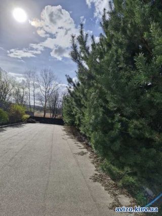 Продается участок, Романков