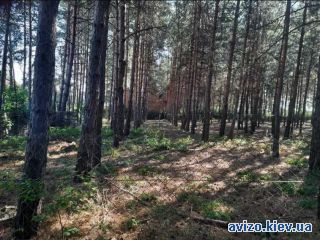 Продам землю, Воронков