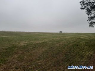 Продается земля, Воронков