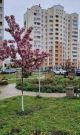 2 кімнатна квартира, вул. Павла Чубинського, 8б, ЖК Софія Київська, с.