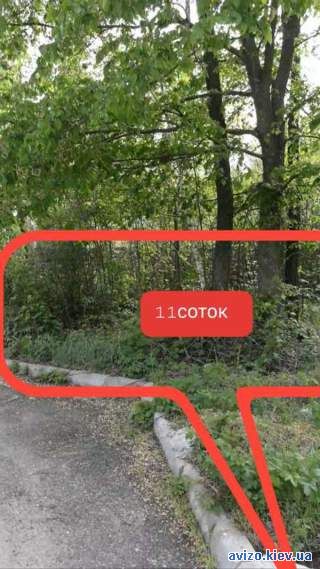 999858 продаж ділянка під житлову забудову Вишгородський, Лебедівка, 2
