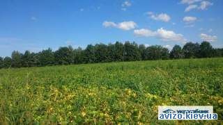 962293 продаж ділянка під житлову забудову Обухівський, Зозулі, 805000