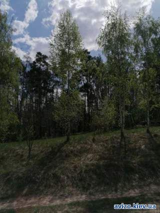 998893 продаж 2-к будинок Білоцерківський, Чернин, 8000 $