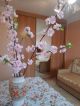 Аренда <a class="adt__geo" href="/nerukhomist/orenda-kvartyr-budynkiv/kimnaty/kyiv-misto/q-2-кімнатні/">2 кімнати</a>-комнатной комнаты