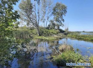 Продается земля, Воронков