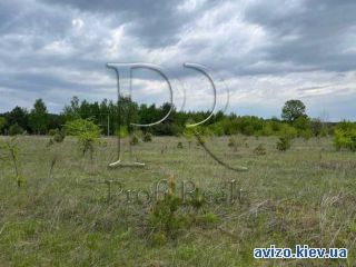 Участок, Залесье