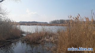 Продажа земли, Воронков