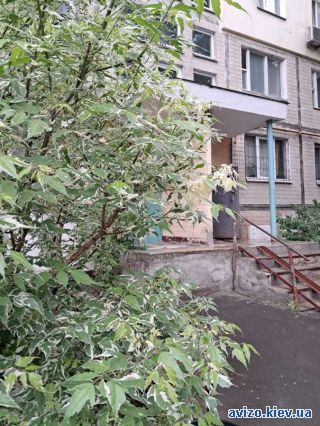 Продам <a class='adt__geo' href='/nerukhomist/prodazh-kvartyr-budynkiv/kvartyry/kyiv-misto/q-2-кімнатні/'>2 кімнати</a>-комнатную квартиру, ст.м. Академгородок