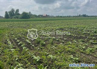 Продам участок, Перемога