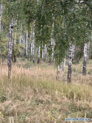 Продается участок, Озерщина