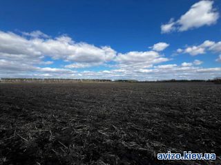 Продам земельный участок, Фастов