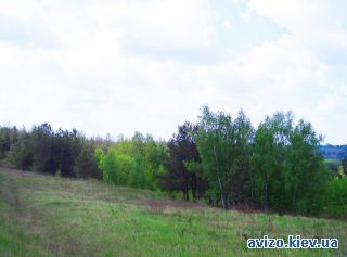 Продается участок, Васильков