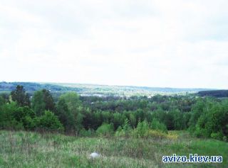 Участок, Васильков