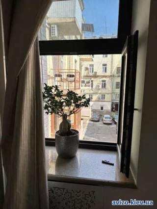 Сдается квартира Киев, Шевченковский, пл. Бессарабская, 7 код 11183354