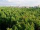 оренда  1-кімнатної панорамної квартири в ЖК Атлант-2, Коцюбинське