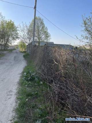 Пропоную купити ділянку в Підгородньому, вул.Вишнева.