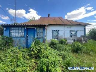Продаж будинку з земельною ділянкою 48 соток в селі Лукаші