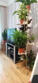 Продажа квартиры Киев, Святошинский, ул. Гната Юры, 3 код 212853614