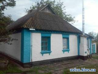 Будинок в селі Лосятин, обкладений цеглою, ділянка 50 соток