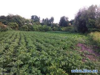 Продам 18 соток в с.Кодаки на жилій вулиці