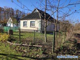 Продам дом в с. Шамраевка, Киевская область