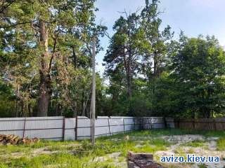 1002692 продаж ділянка під житлову забудову Бучанський, Кодра, 9500 $