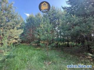 1001054 продаж ділянка сільськогосподарського призначення Бориспільськ