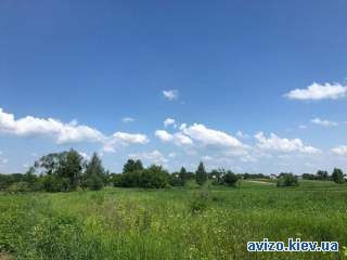 Подам 1.14 га землі в с.Гурівщина ( Бучанський р) 500м від Жит.тр