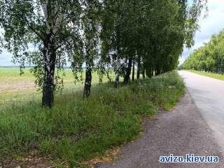 Продам 1.53( можна до 6 га) індивідуальне садівництво) Ясногородка