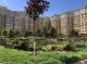 Продам <a class="adt__geo" href="/nerukhomist/prodazh-kvartyr-budynkiv/kvartyry/kyivska-oblast/q-3-кімнатні/">3 кімнати</a>-комнатную квартиру, Софиевская Борщаговка