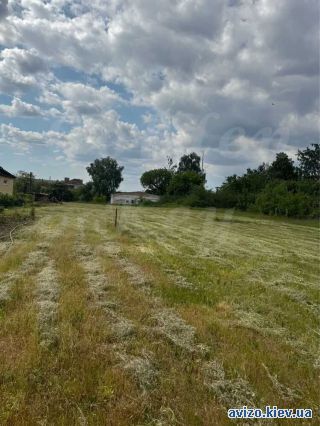 Участок, Иванков