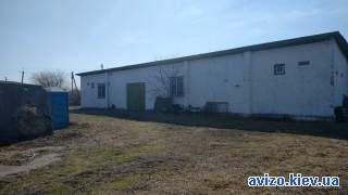1005651 продаж виробничі приміщення Броварський, Літки, 127000 $