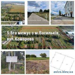 ПРОДАЖ! Земельна ділянка - 5.6га межує з м.Васильків (вул.КОМАРОВА)