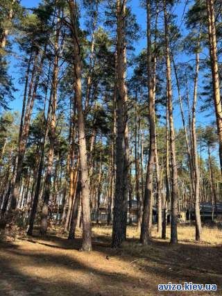 В елітному районі Лісової Бучі  земельна ділянка 8,5 соток.