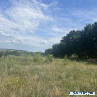 Бучанська ОТГ, с. Мироцьке, вул. Лісова продаж ділянки для будівництва