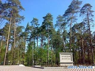 Продаж частини будинку в центрі міста Буча.