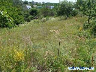 Продам участок 12 соток в живописном районе Киевской области.