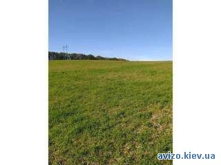 1002389 продаж ділянка сільськогосподарського призначення Обухівський,