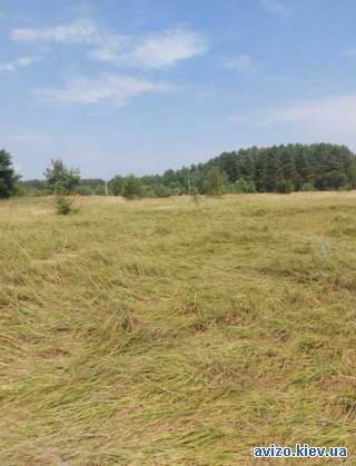 1004995 продаж ділянка під житлову забудову Вишгородський, Ясногородка