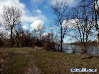 Продам ділянку перша лінія річки Десна с.Літочки