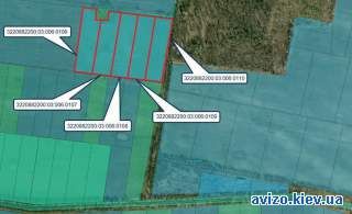 954799 продаж ділянка сільськогосподарського призначення Бориспільськи