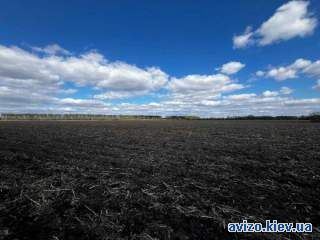 987762 Продаж двох зем.ділянок Грузьке,загальна площа 4,8722 га!Від вл