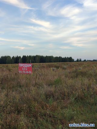 Продаю участок, Багрин