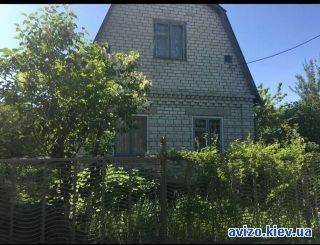 Дача, Бровары